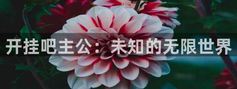 摩根娱乐官网入口网站：开挂吧主公：未知的无限世界