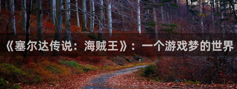 摩根娱乐网址：《塞尔达传说：海贼王》：一个游戏梦的世界