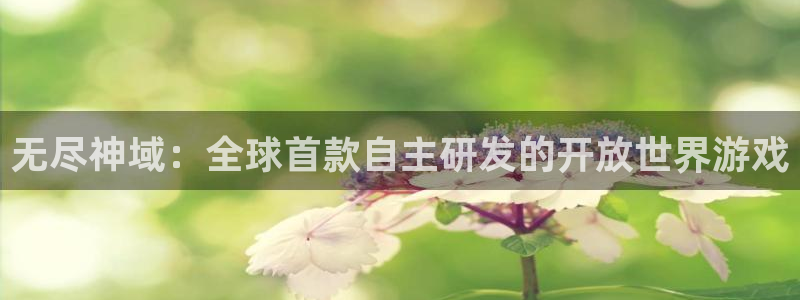 摩根娱乐是正规合法的吗知乎：无尽神域：全球首款自主研发的开放