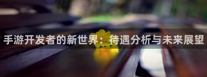 摩根娱乐官网入口网站下载：手游开发者的新世界：待遇分析与未来