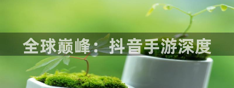 摩根娱乐是正规公司吗：全球巅峰：抖音手游深度