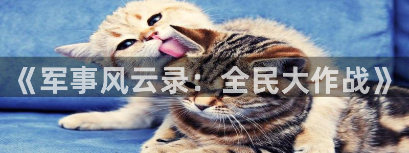 摩根娱乐官网入口网址大全：《军事风云录：全民大作战》