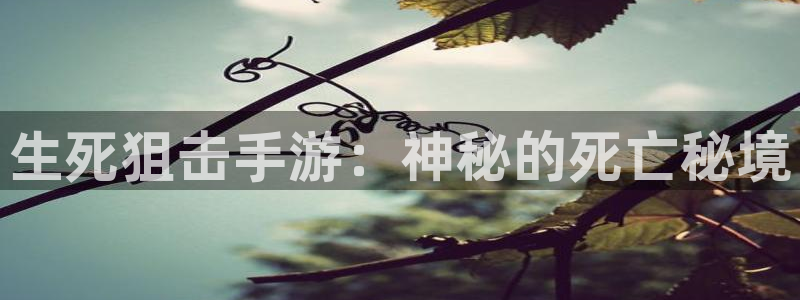 摩根娱乐云挂机教程：生死狙击手游：神秘的死亡秘境