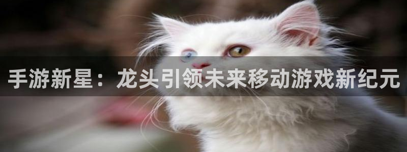 摩根娱乐娱乐官网入口在线观看：手游新星：龙头引领未来移动游戏