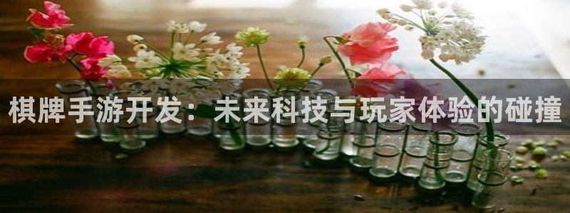 摩根娱乐是什么：棋牌手游开发：未来科技与玩家体验的碰撞