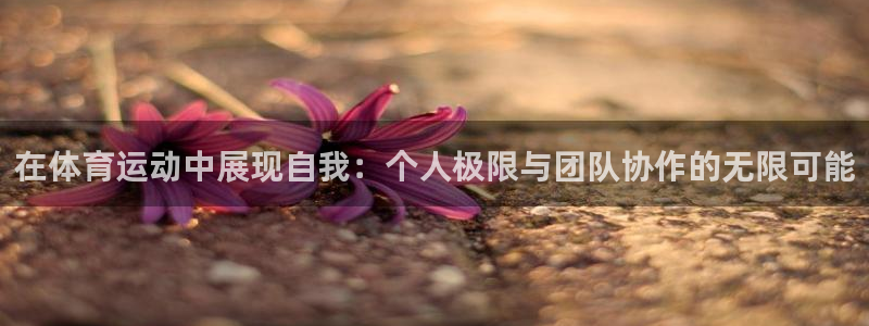 球客岛：在体育运动中展现自我：个人极限与团队协作的无限可能