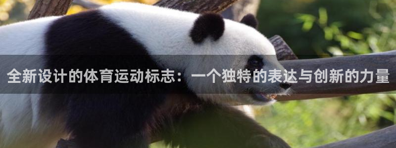 球客岛：全新设计的体育运动标志：一个独特的表达与创新的力量