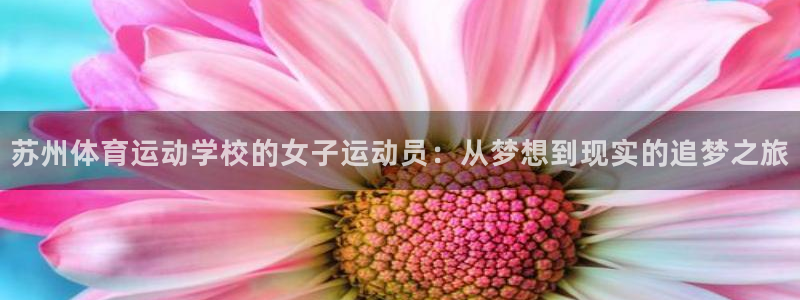 球客岛