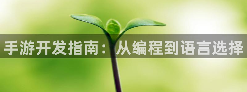 摩根娱乐官网入口网址是多少:手游开发指南:从编程到语言选择