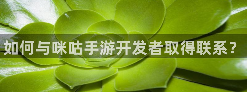 摩根娱乐是个什么平台啊多少钱:如何与咪咕手游开发者取得联系?