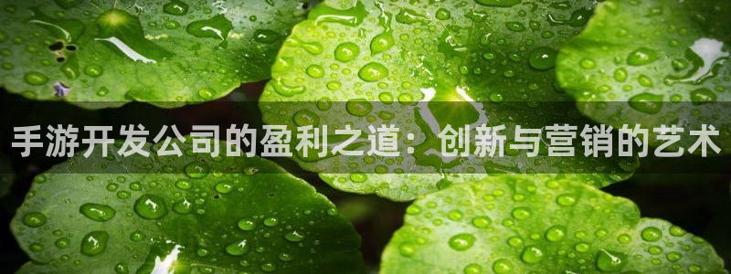 摩根娱乐挂机项目怎么样:手游开发公司的盈利之道:创新与营销的