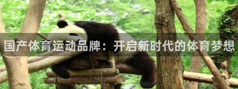 球客岛：国产体育运动品牌：开启新时代的体育梦想