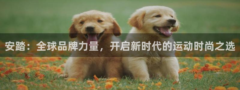 球客岛：安踏：全球品牌力量，开启新时代的运动时尚之选