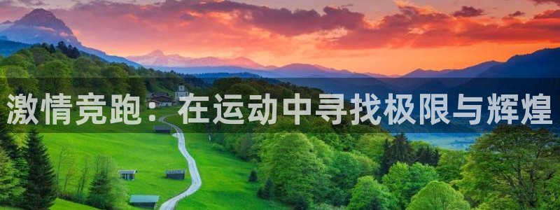球客岛：激情竞跑：在运动中寻找极限与辉煌