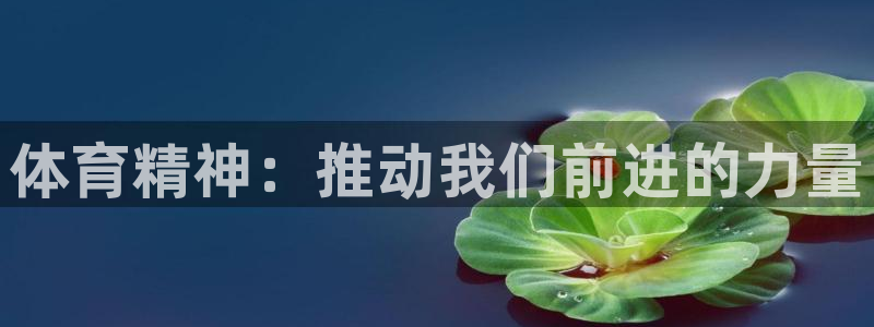 球客岛：体育精神：推动我们前进的力量